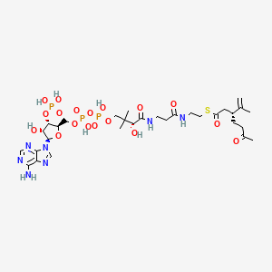 molecular formula C31H50N7O18P3S B1242577 (3R)-3-Isopropenyl-6-oxoheptanoyl-CoA 