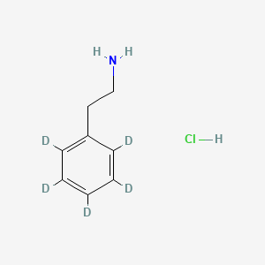 molecular formula C8H12ClN B12425932 Benzene-d5-ethanamine (hydrochloride) 