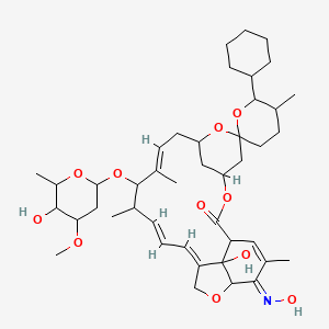 molecular formula C43H63NO11 B1242611 (10E,14E,16E,21E)-6'-cyclohexyl-24-hydroxy-21-hydroxyimino-12-(5-hydroxy-4-methoxy-6-methyloxan-2-yl)oxy-5',11,13,22-tetramethylspiro[3,7,19-trioxatetracyclo[15.6.1.14,8.020,24]pentacosa-10,14,16,22-tetraene-6,2'-oxane]-2-one 