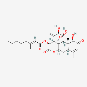 molecular formula C29H38O9 B1242666 11,20-Epoxy-1,11,12-trihydroxy-15-(3-methyl-2-octenoyl)oxypicras-3,13(21)-diene-2,16-dione CAS No. 92211-45-5