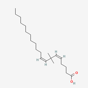 molecular formula C22H40O2 B1242717 7,7-Dimethyl-(5Z,8Z)-eicosadienoic acid CAS No. 89560-01-0