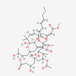 molecular formula C47H68O17 B1242740 [(5Z,8Z,13E)-25-acetyloxy-1,11,21-trihydroxy-17-(1-hydroxyethyl)-5,13-bis(2-methoxy-2-oxoethylidene)-10,10,26,26-tetramethyl-19-oxo-18,27,28,29-tetraoxatetracyclo[21.3.1.13,7.111,15]nonacos-8-en-12-yl] (2E,4E)-octa-2,4-dienoate 