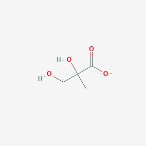 molecular formula C4H7O4- B1242768 2,3-二羟基-2-甲基丙酸酯 