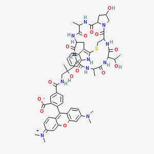 molecular formula C60H69N11O14S B12427916 Rhodamine Phalloidin 