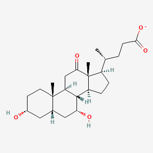 molecular formula C24H37O5- B1242825 3α,7α-二羟基-12-氧代-5β-胆烷酸 