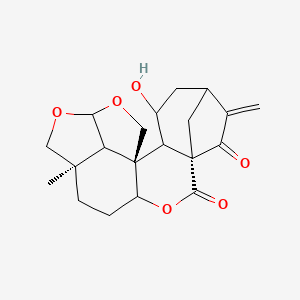 Sculponeatin B