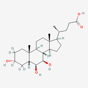 beta-Muricholic Acid-d5