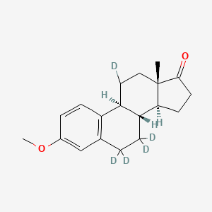 molecular formula C19H24O2 B12429511 (8R,9S,13S,14S)-6,6,7,7,11-pentadeuterio-3-methoxy-13-methyl-9,11,12,14,15,16-hexahydro-8H-cyclopenta[a]phenanthren-17-one 