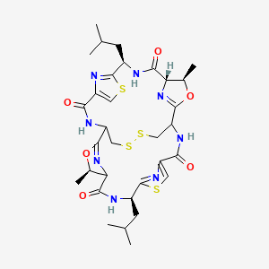 molecular formula C32H42N8O6S4 B1243046 (4R,8R,18R,19S,22R)-4,18-dimethyl-8,22-bis(2-methylpropyl)-3,17-dioxa-10,24,30,31-tetrathia-7,14,21,28,33,34,35,36-octazahexacyclo[13.13.4.12,5.19,12.116,19.123,26]hexatriaconta-2(36),9(35),11,16(34),23(33),25-hexaene-6,13,20,27-tetrone 