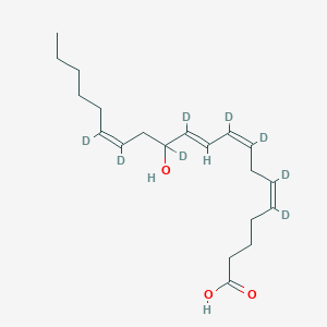 12-HETE-d8