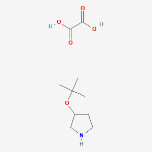 molecular formula C10H19NO5 B12430783 3-(Tert-butoxy)pyrrolidine; oxalic acid 