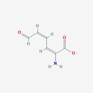 2-Aminomuconate 6-semialdehyde(1-)