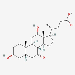 molecular formula C24H37O5- B1243091 3α,12α-二羟基-7-氧代-5β-胆烷酸 