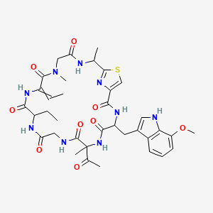 (16Z)-7-acetyl-13-ethyl-16-ethylidene-4-[(7-methoxy-1H-indol-3-yl)methyl]-7,18,22-trimethyl-24-thia-3,6,9,12,15,18,21,26-octaazabicyclo[21.2.1]hexacosa-1(25),23(26)-diene-2,5,8,11,14,17,20-heptone