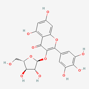 Myricetin 3-alpha-L-arabinofuranoside