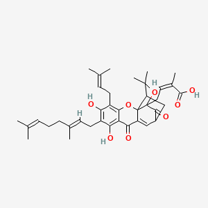 molecular formula C38H46O8 B1243204 (Z)-4-[7-[(2E)-3,7-dimethylocta-2,6-dienyl]-6,8-dihydroxy-17,17-dimethyl-5-(3-methylbut-2-enyl)-10,14-dioxo-3,16-dioxapentacyclo[11.4.1.02,11.02,15.04,9]octadeca-4,6,8,11-tetraen-15-yl]-2-methylbut-2-enoic acid 