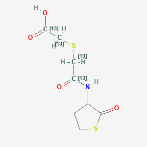 Erdosteine-13C4