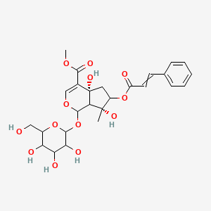 molecular formula C26H32O13 B12432251 methyl (4aR,7R)-4a,7-dihydroxy-7-methyl-6-(3-phenylprop-2-enoyloxy)-1-[3,4,5-trihydroxy-6-(hydroxymethyl)oxan-2-yl]oxy-1,5,6,7a-tetrahydrocyclopenta[c]pyran-4-carboxylate 