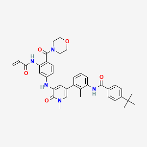 Chmfl-btk-01