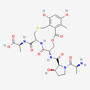 molecular formula C26H35N5O11S B1243372 Cyclothialidine C 