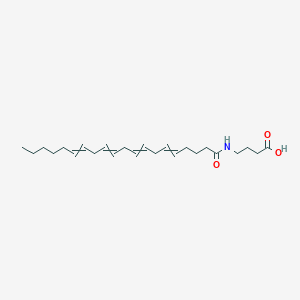 4-[(Icosa-5,8,11,14-tetraenoyl)amino]butanoic acid