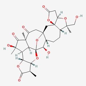 molecular formula C29H36O12 B1243561 Sphenadilactone B 