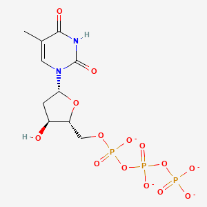 molecular formula C10H13N2O14P3-4 B1243573 胸苷5'-三磷酸(4-) 
