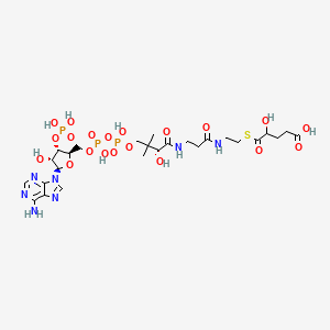 2-Hydroxyglutaryl-CoA