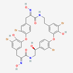 molecular formula C34H28Br4N4O9 B1243749 (12E,25E,29S)-5,16,21,32-tetrabromo-4,20,29-trihydroxy-12,25-bis(hydroxyimino)-2,18-dioxa-10,27-diazapentacyclo[28.2.2.214,17.13,7.119,23]octatriaconta-1(32),3,5,7(38),14,16,19,21,23(35),30,33,36-dodecaene-11,26-dione 