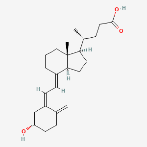molecular formula C24H36O3 B1243800 (5Z,7E)-(3S)-3-hydroxy-9,10-seco-5,7,10(19)-cholatrien-24-oic acid 