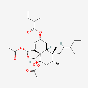 [(1S,3R,5S,6aS,7R,8R,10S,10aS)-1,3-diacetyloxy-10-hydroxy-7,8-dimethyl-7-[(2E)-3-methylpenta-2,4-dienyl]-1,3,5,6,6a,8,9,10-octahydrobenzo[d][2]benzofuran-5-yl] 2-methylbutanoate