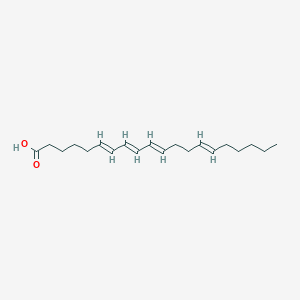 molecular formula C20H32O2 B1243948 Icosa-6,8,10,14-tetraenoic acid 