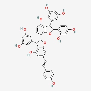 Gnetumontanin B