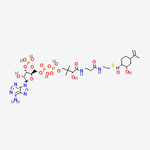 molecular formula C31H50N7O18P3S B1244060 2-hydroxy-4-isopropenylcyclohexane-1-carbonyl-CoA 