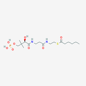 molecular formula C17H33N2O8PS B1244063 S-己酰-4'-磷酸泛 Pantetheine 