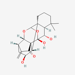 molecular formula C20H26O6 B1244073 异叶菌素 C 