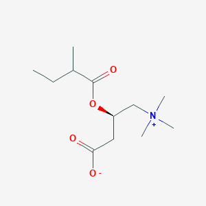 molecular formula C12H23NO4 B1244155 (R)-2-methylbutyrylcarnitine 