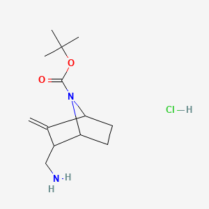 Tert-butyl 2-(aminomethyl)-3-methylidene-7-azabicyclo[2.2.1]heptane-7-carboxylate hydrochloride