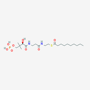 molecular formula C21H41N2O8PS B1244239 S-癸酰-4'-磷酸泛酰胺 