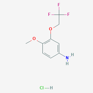 molecular formula C9H11ClF3NO2 B12442846 4-Methoxy-3-(2,2,2-trifluoroethoxy)aniline hydrochloride 