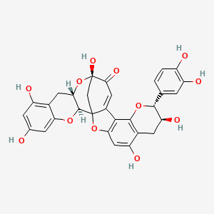 molecular formula C30H24O12 B12443103 Dehydrodicatechin A CAS No. 36048-23-4