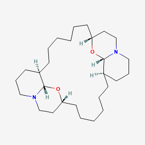 molecular formula C28H50N2O2 B1244361 (+)-石房海绵素 A CAS No. 88840-02-2