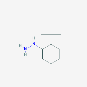 molecular formula C10H22N2 B12444721 (2-Tert-butylcyclohexyl)hydrazine CAS No. 1016699-82-3