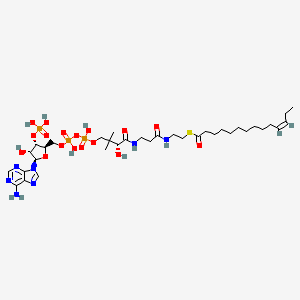 molecular formula C35H60N7O17P3S B1244478 顺式-十四碳-11-烯酰辅酶 A 