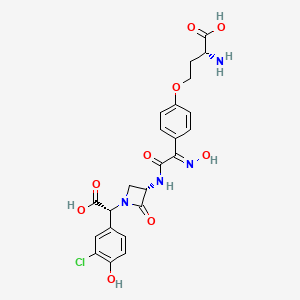 molecular formula C23H23ClN4O9 B1244515 (2R)-2-amino-4-[4-[(E)-C-[[(3S)-1-[(R)-carboxy-(3-chloro-4-hydroxyphenyl)methyl]-2-oxoazetidin-3-yl]carbamoyl]-N-hydroxycarbonimidoyl]phenoxy]butanoic acid CAS No. 95927-71-2