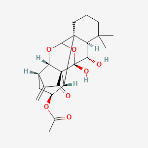 molecular formula C22H28O7 B1244535 [(1S,2S,3S,5S,8R,9S,13S,14S,15R)-13,14-dihydroxy-16,16-dimethyl-6-methylidene-7-oxo-10,12-dioxahexacyclo[9.8.0.01,15.02,8.05,9.08,13]nonadecan-3-yl] acetate 