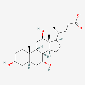 molecular formula C24H39O5- B1244596 3α,7α,12β-三羟基-5β-胆烷酸 