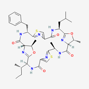 molecular formula C38H48N8O6S2 B1244670 Patellamide B 