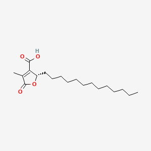 molecular formula C19H32O4 B1244685 4-methyl-5-oxo-2-tridecyl-2H-furan-3-carboxylic acid 
