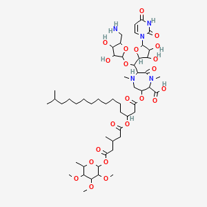 molecular formula C53H87N5O22 B1244731 Caprazamycin B 